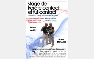 Stage Karaté contact et Full Contact à Muret.