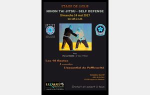 Stage Nihon Tai Jitsu