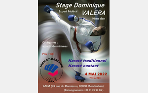 Stage Karaté Dominique Valera