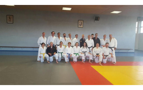 Nihon Tai Jitsu