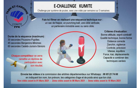 E-challenge